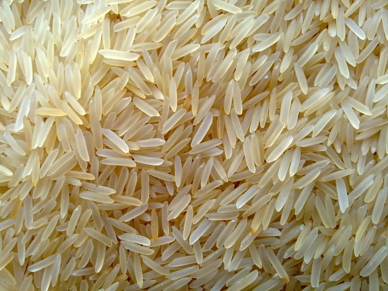 Rice
